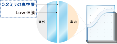 0.2�~���̐^��w