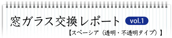  ���K���X�������|�[�g vol.1 �y�X�y�[�V�A�i�����E�s�����^�C�v�j�z 